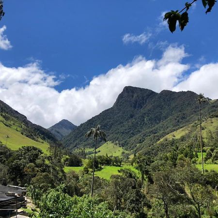 Cabanas Valle Del Cocora La Truchera Salento Zewnętrze zdjęcie