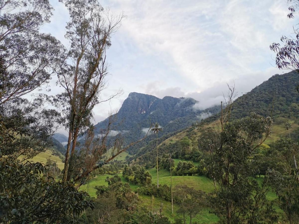 Cabanas Valle Del Cocora La Truchera Salento Zewnętrze zdjęcie