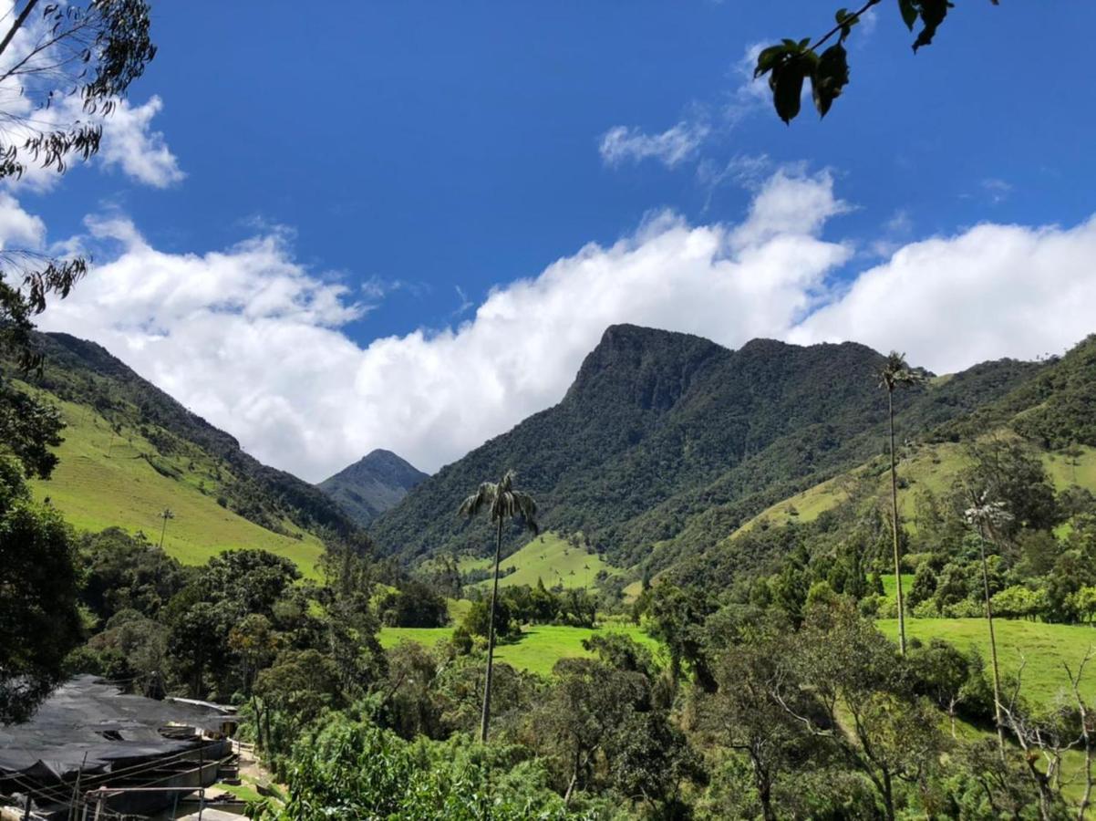 Cabanas Valle Del Cocora La Truchera Salento Zewnętrze zdjęcie