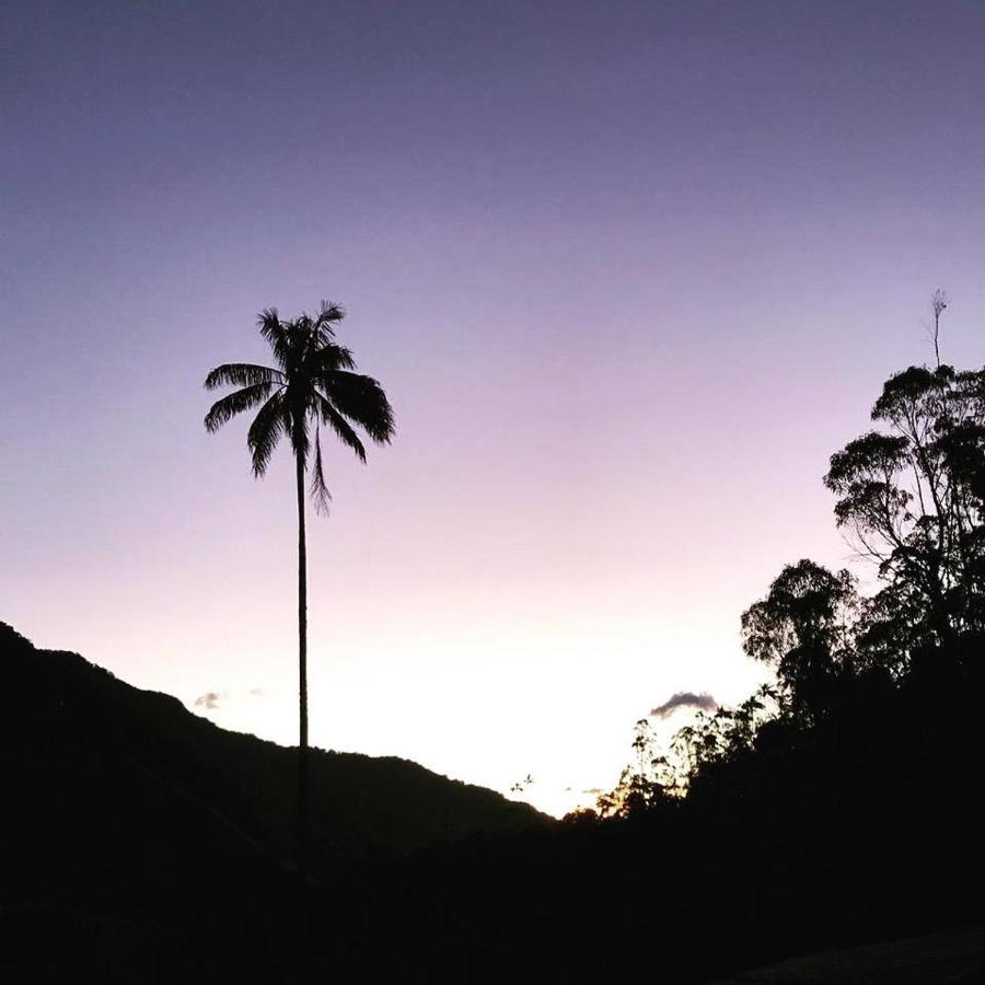 Cabanas Valle Del Cocora La Truchera Salento Zewnętrze zdjęcie