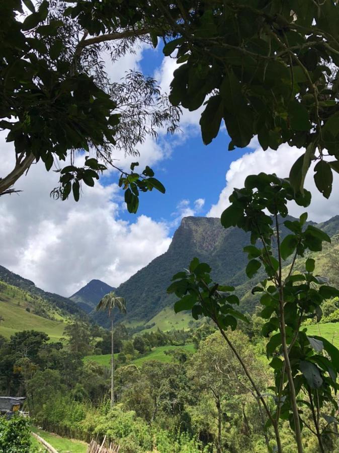 Cabanas Valle Del Cocora La Truchera Salento Zewnętrze zdjęcie