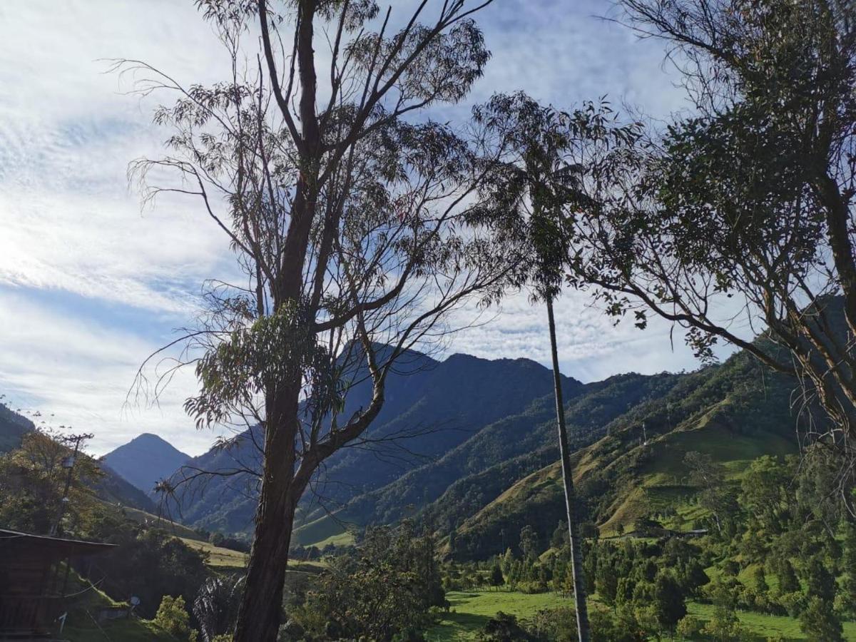 Cabanas Valle Del Cocora La Truchera Salento Zewnętrze zdjęcie