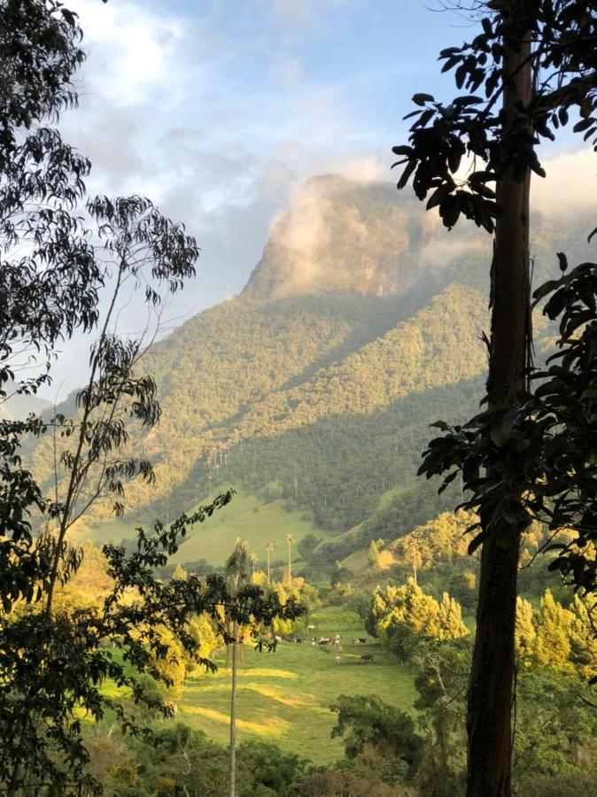Cabanas Valle Del Cocora La Truchera Salento Zewnętrze zdjęcie