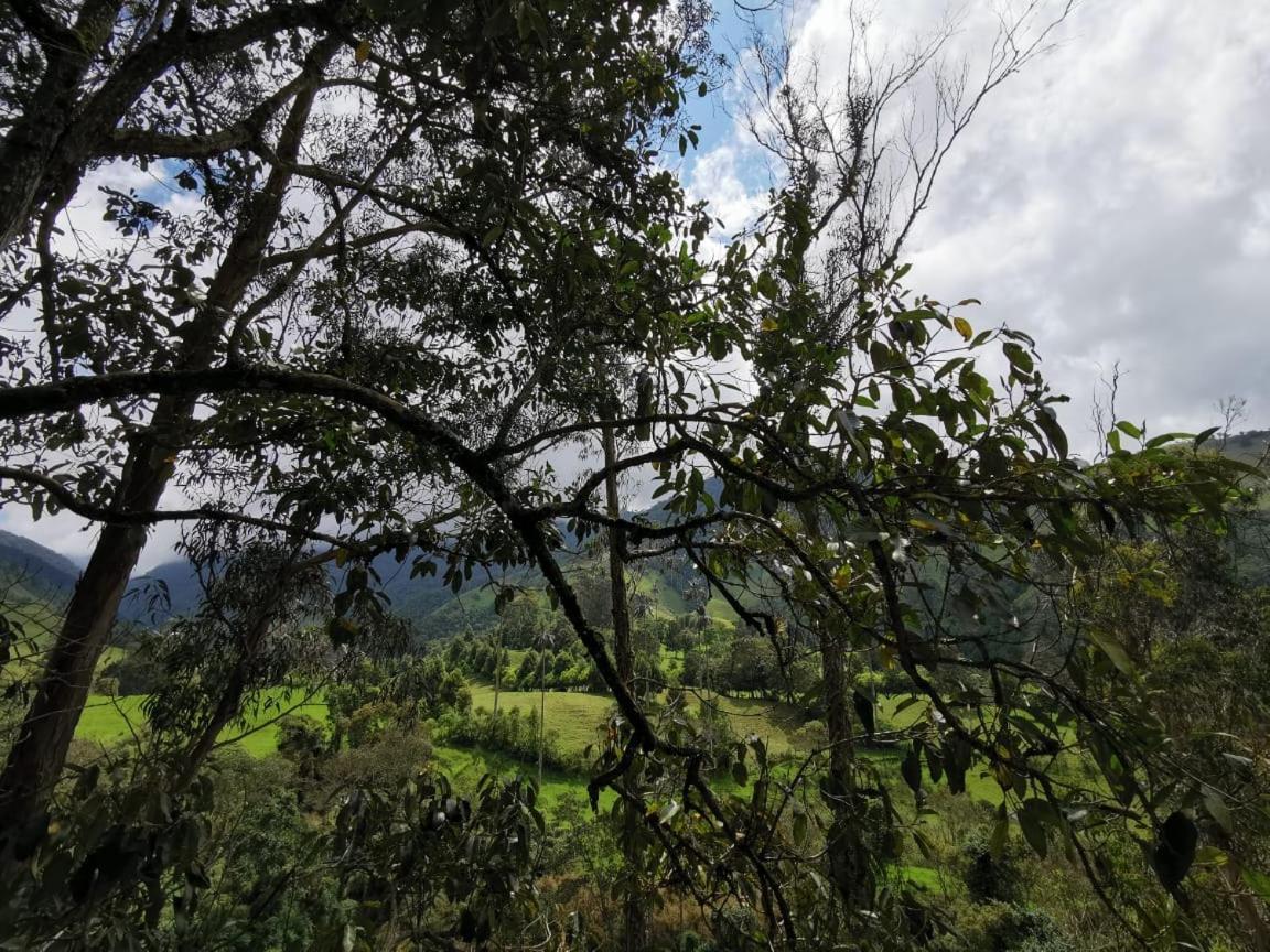 Cabanas Valle Del Cocora La Truchera Salento Zewnętrze zdjęcie