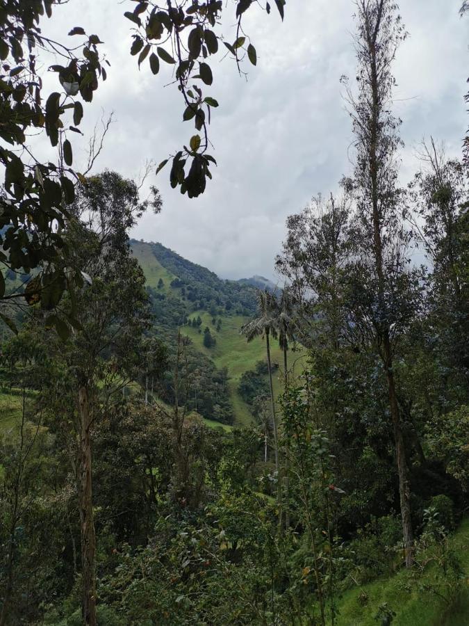 Cabanas Valle Del Cocora La Truchera Salento Zewnętrze zdjęcie
