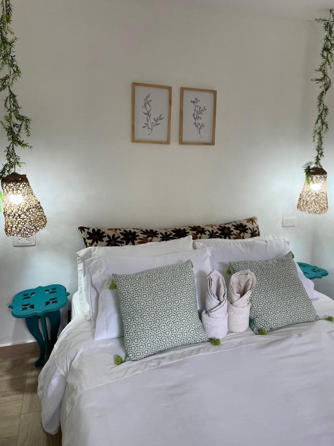 Cabanas Valle Del Cocora La Truchera Salento Zewnętrze zdjęcie