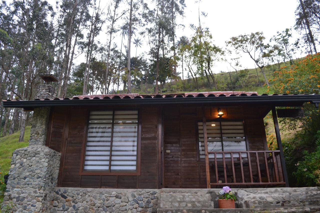 Cabanas Valle Del Cocora La Truchera Salento Zewnętrze zdjęcie