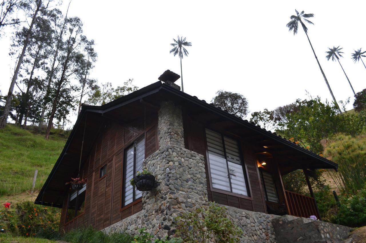 Cabanas Valle Del Cocora La Truchera Salento Zewnętrze zdjęcie