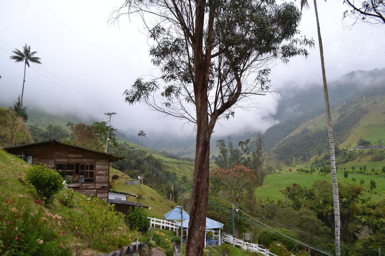 Cabanas Valle Del Cocora La Truchera Salento Zewnętrze zdjęcie