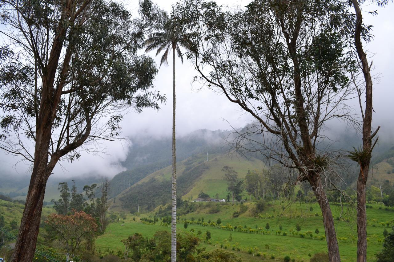 Cabanas Valle Del Cocora La Truchera Salento Zewnętrze zdjęcie