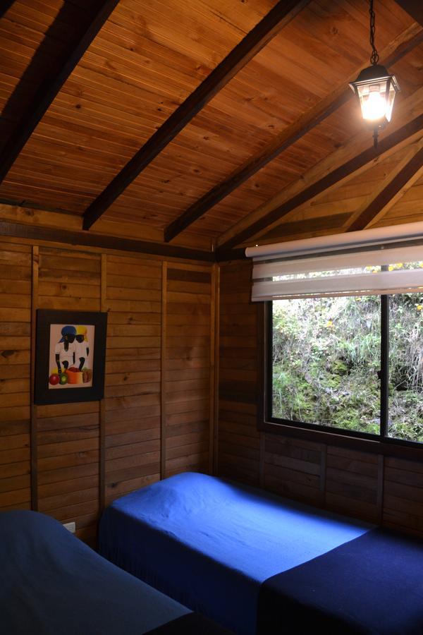 Cabanas Valle Del Cocora La Truchera Salento Zewnętrze zdjęcie