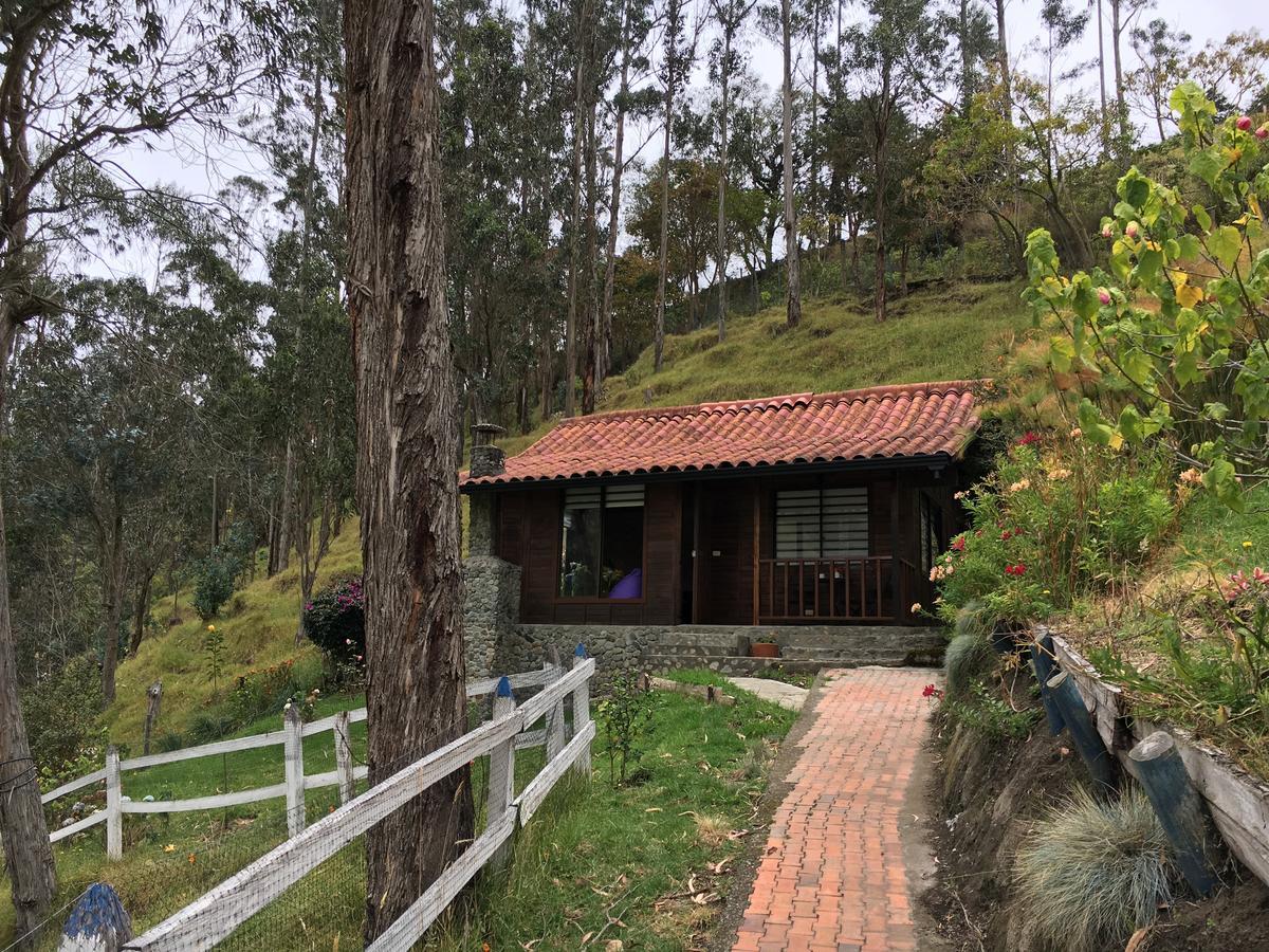 Cabanas Valle Del Cocora La Truchera Salento Zewnętrze zdjęcie