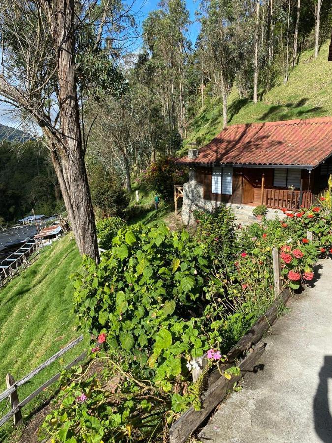 Cabanas Valle Del Cocora La Truchera Salento Zewnętrze zdjęcie