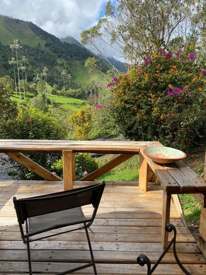 Cabanas Valle Del Cocora La Truchera Salento Zewnętrze zdjęcie