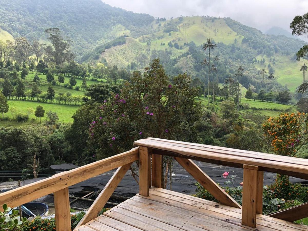 Cabanas Valle Del Cocora La Truchera Salento Zewnętrze zdjęcie
