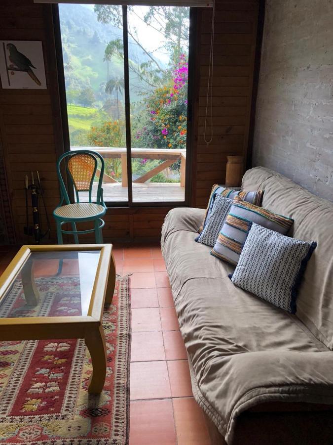 Cabanas Valle Del Cocora La Truchera Salento Zewnętrze zdjęcie