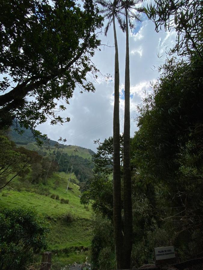 Cabanas Valle Del Cocora La Truchera Salento Zewnętrze zdjęcie
