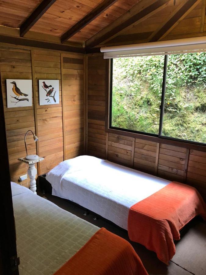 Cabanas Valle Del Cocora La Truchera Salento Zewnętrze zdjęcie
