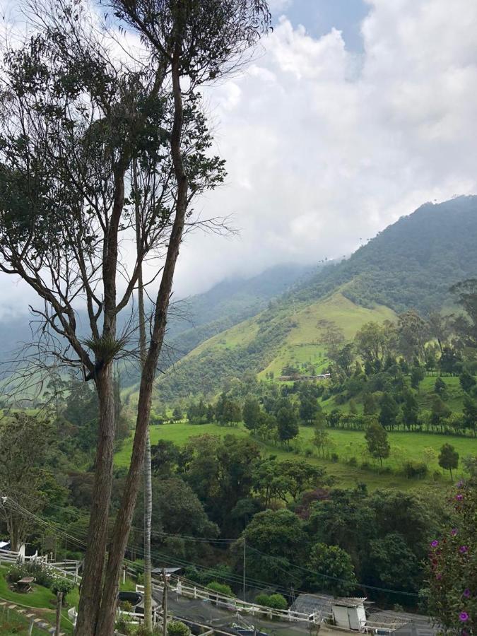 Cabanas Valle Del Cocora La Truchera Salento Zewnętrze zdjęcie