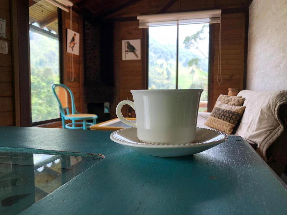 Cabanas Valle Del Cocora La Truchera Salento Zewnętrze zdjęcie