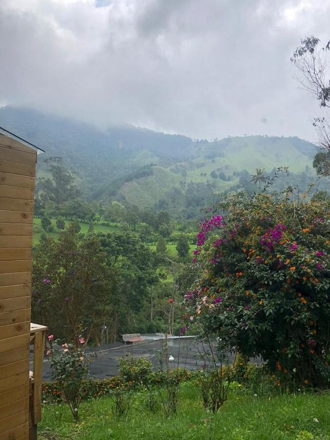 Cabanas Valle Del Cocora La Truchera Salento Zewnętrze zdjęcie