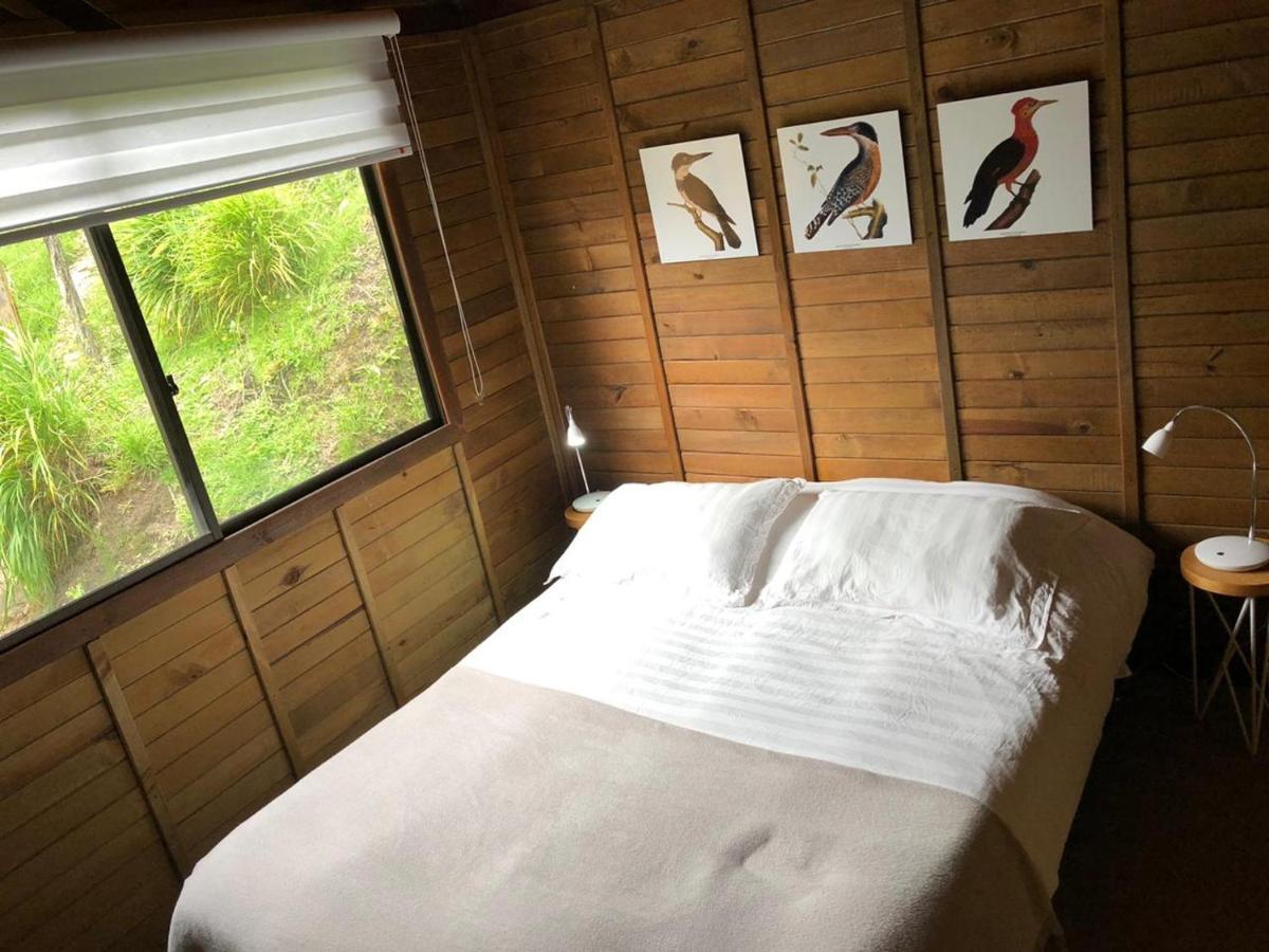 Cabanas Valle Del Cocora La Truchera Salento Zewnętrze zdjęcie